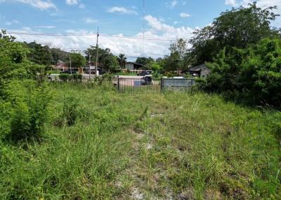 Overgrown vacant lot with potential for development