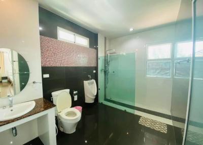 Modern spacious bathroom with glass shower enclosure