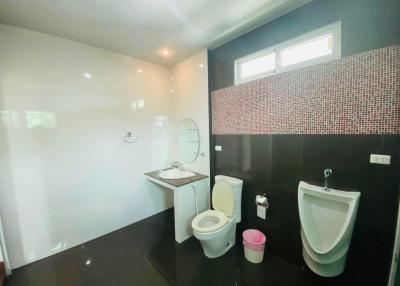 Modern bathroom with glass shower, toilet and urinal