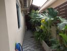 Paved side passage of a home with potted plants and a hose