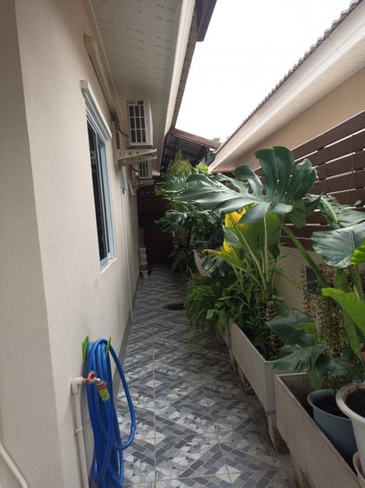 Paved side passage of a home with potted plants and a hose