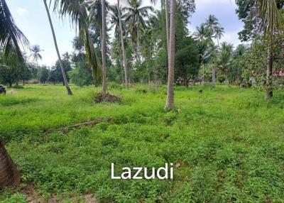 Tranquil Oasis on Coconut Lane from 332 to 1032 sqm land