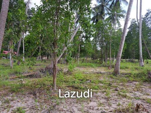 Tranquil Oasis on Coconut Lane from 332 to 1032 sqm land