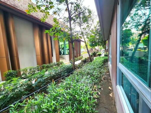 Condo for Sale at DVieng Santitham