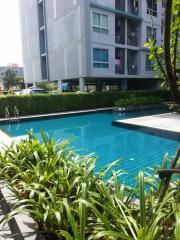 Modern residential building with a swimming pool surrounded by green plants