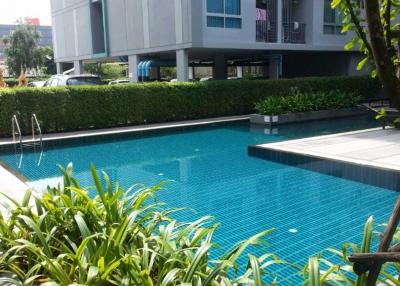 Modern residential building with a swimming pool surrounded by green plants