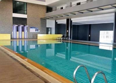 Indoor swimming pool with surrounding relaxation area in a modern residential building