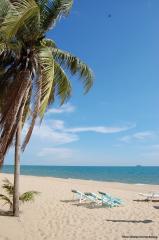 Idyllic beachfront with palm tree and lounging chairs