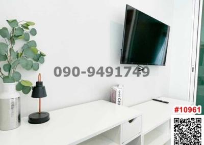 Minimalist living room with wall-mounted television and decorative plant