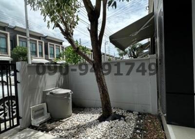 Small outdoor space with a tree at a residential property