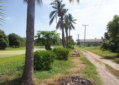 Land For Sale Soi WatSai Nakhon Chai Si Nakhon Pathom 21 Rai 55x280