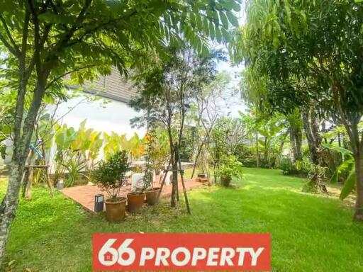 2 Bedroom House  in San Phi Suea