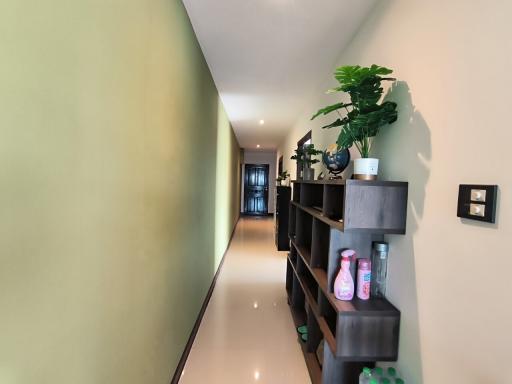 Bright and spacious hallway with decorative shelves and plants