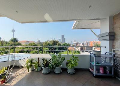 Spacious balcony with city skyline view, potted plants, and ample sunlight