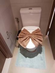 Modern bathroom with decorative towels on toilet