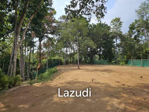 Exceptional Land Opportunity: 2400 sqm Chanote Freehold in Ban Su Rai Maduwan, Just 5 Minutes from All Amenities and Adjacent to Elephant Sanctuary