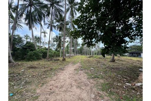 Land Investment Opportunities In Baan Tai Koh Samui