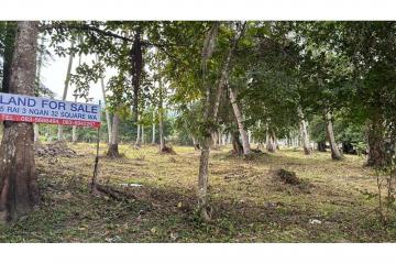 Land Investment Opportunities In Baan Tai Koh Samui