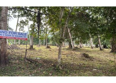 Land Investment Opportunities In Baan Tai Koh Samui - 920121052-54