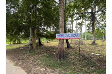 Land Investment Opportunities In Baan Tai Koh Samui