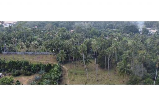 Land Investment Opportunities In Baan Tai Koh Samui