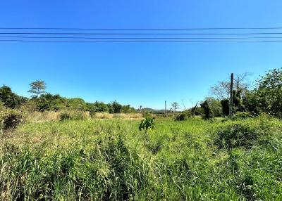 Spacious undeveloped land with lush greenery under a clear blue sky
