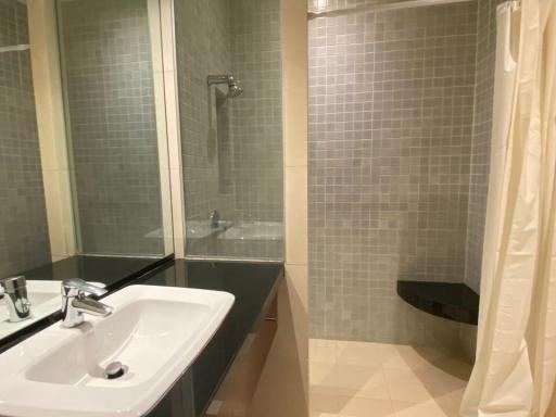 Modern bathroom with shower and bathtub