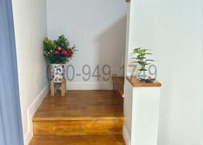 Warm wooden staircase with decorative plants