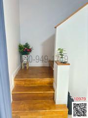 Warm wooden staircase with decorative plants
