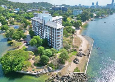 Aerial view of a waterfront residential building surrounded by greenery