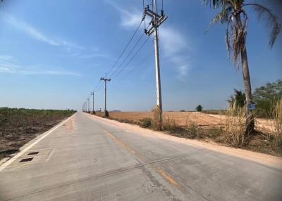Paved rural road with utility poles and clear blue sky