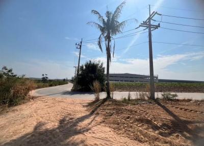 Rural road with power lines and palm tree near a building under a clear blue sky
