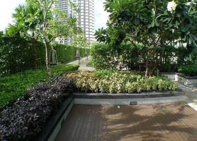 Trendy Condominium Sukhumvit 13