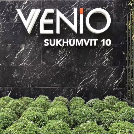 1 Bedroom Condo For Rent: Venio Sukhumvit 10