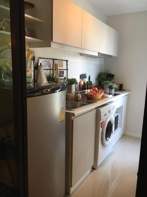 Condo for Rent at Pause Sukhumvit 107