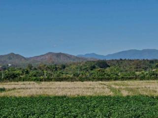 Exquisite 3 Bedroom House for Sale in Hang Dong, Chiang Mai