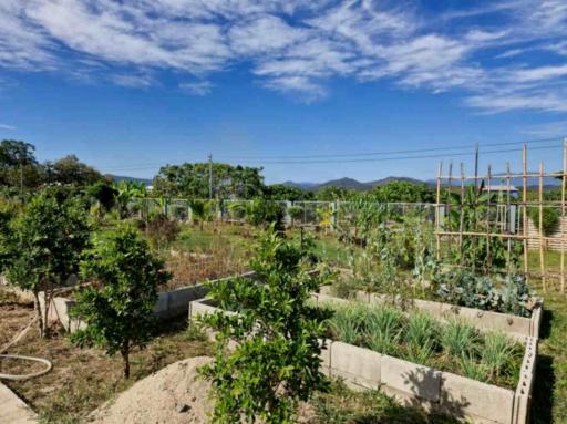 Exquisite 3 Bedroom House for Sale in Hang Dong, Chiang Mai