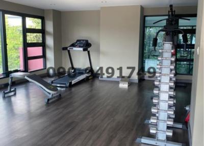 Home Gym with Treadmill and Weights
