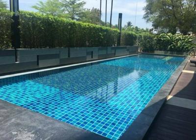 Private swimming pool with blue tiles surrounded by greenery