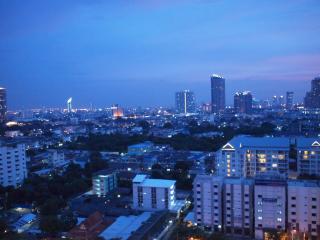 Panoramic cityscape view at twilight from a high-rise building