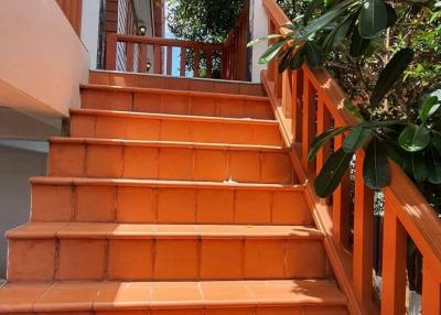 A set of terracotta tiled stairs leading to a house entrance with greenery on the side