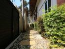 Paved garden pathway with green shrubs and privacy fence in a residential property