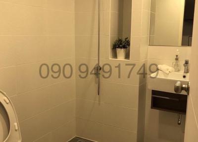 Modern bathroom with shower and toilet facilities