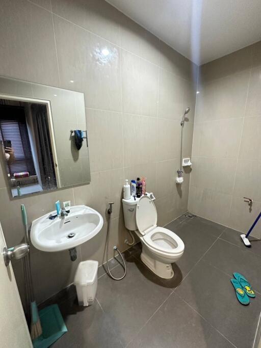 Modern bathroom interior with clean facilities