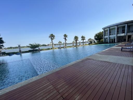 Outdoor swimming pool area with a waterfront view surrounded by palm trees