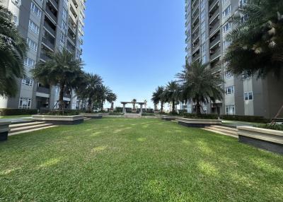 Spacious common lawn area between residential buildings with seating and palm trees