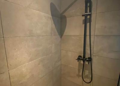 Modern Shower with Tan Tiles