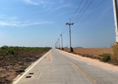 paved rural road with farmland and clear blue sky