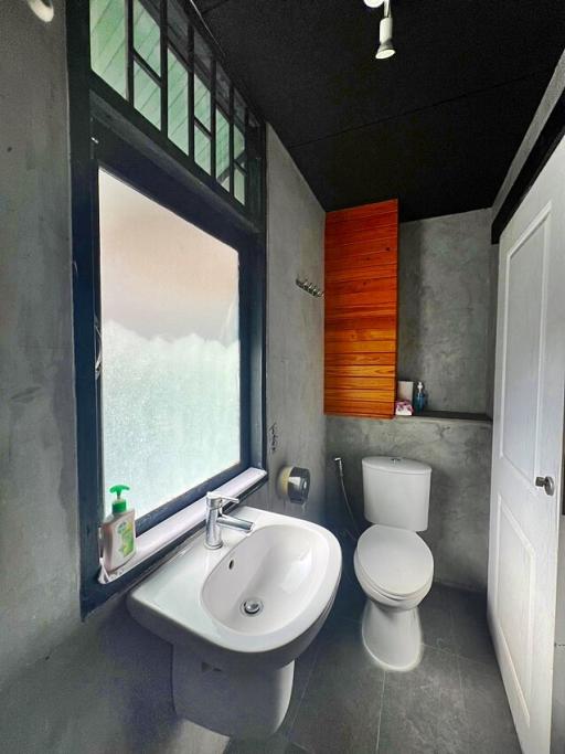Modern bathroom with frosted glass window and concrete walls