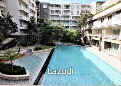 Autumn Condo: 1 Bed 1 Bath for rent